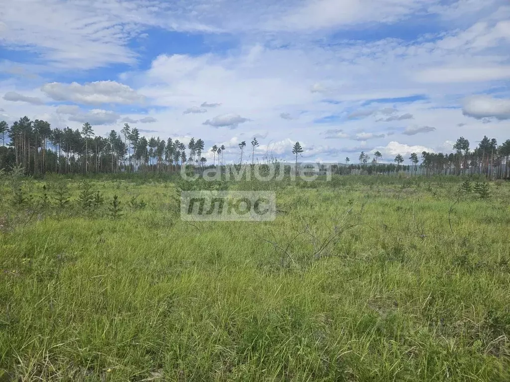 Участок в Забайкальский край, Читинский район, с. Смоленка  (50.0 ... - Фото 1