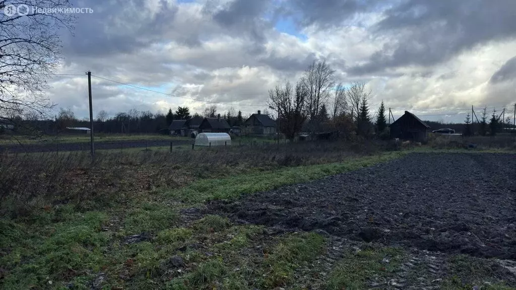 Дом в Волосовский район, Большеврудское сельское поселение, деревня ... - Фото 2