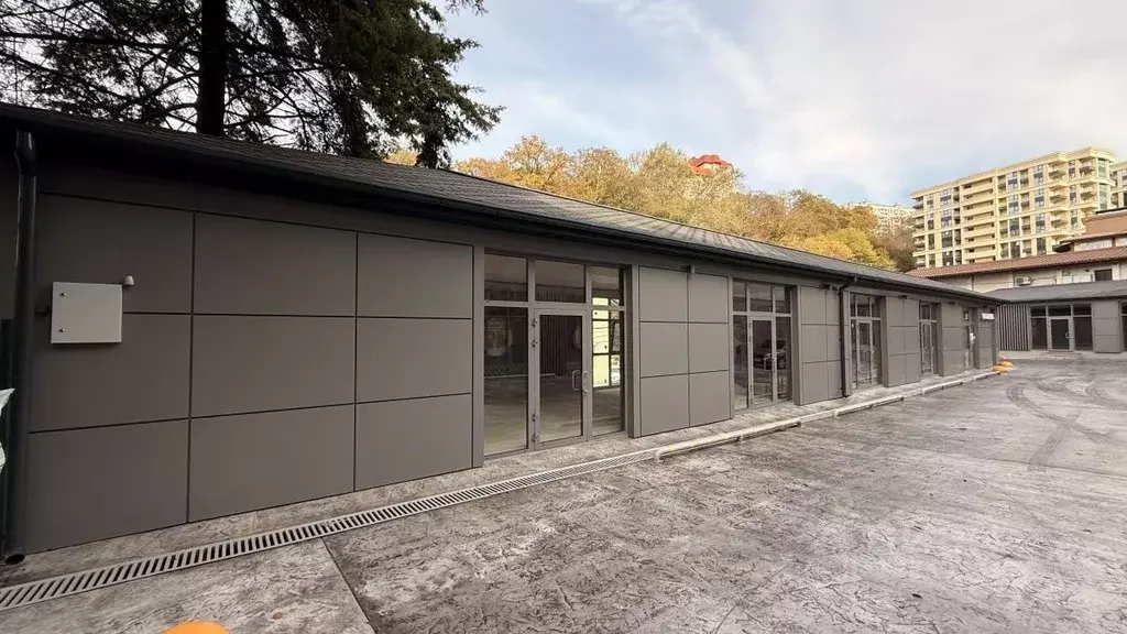 Помещение свободного назначения в Краснодарский край, Сочи Пластунская ... - Фото 0