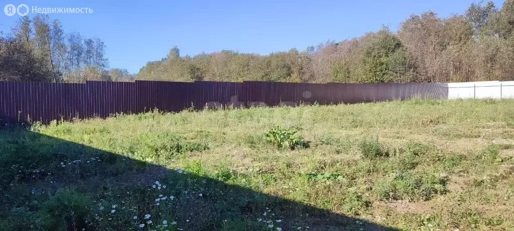 Участок в посёлок Петро-Славянка, СНТ Красноармейское (8 м) - Фото 2