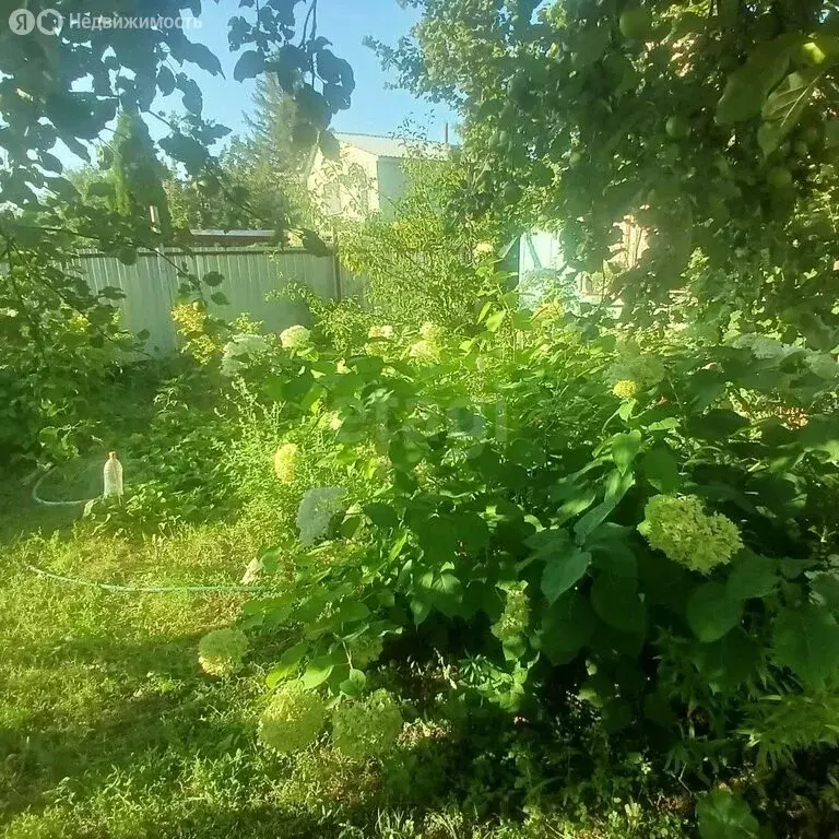 Дом в Энгельсский район, Терновское муниципальное образование, СНТ ... - Фото 2