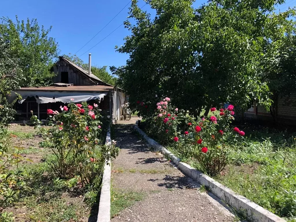 Погода ставропольский край хутор красный пахарь