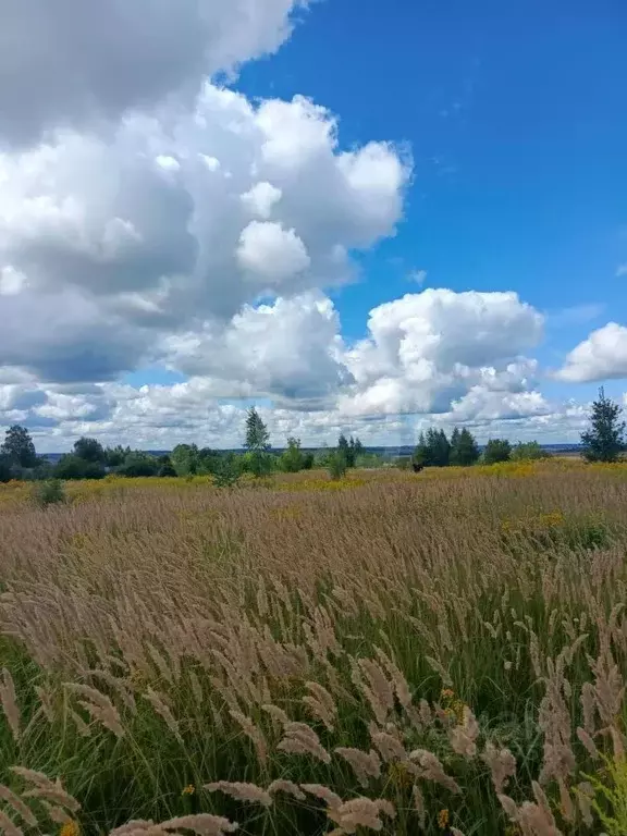 Участок в Тульская область, Тула городской округ, д. Горюшино ул. 1-я ... - Фото 1