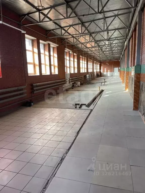 Помещение свободного назначения в Омская область, Омск ул. Кирова, 47 ... - Фото 1