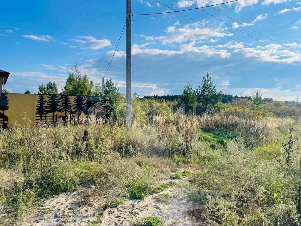 Участок в Тюменская область, Тюменский муниципальный округ, с. ... - Фото 1