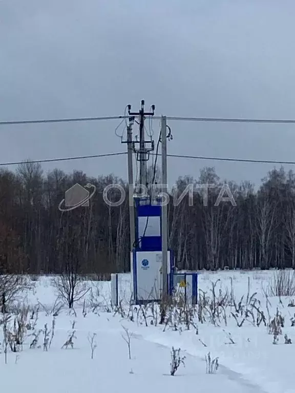 Участок в Тюменская область, Тюменский район, с. Горьковка Сибирская ... - Фото 0