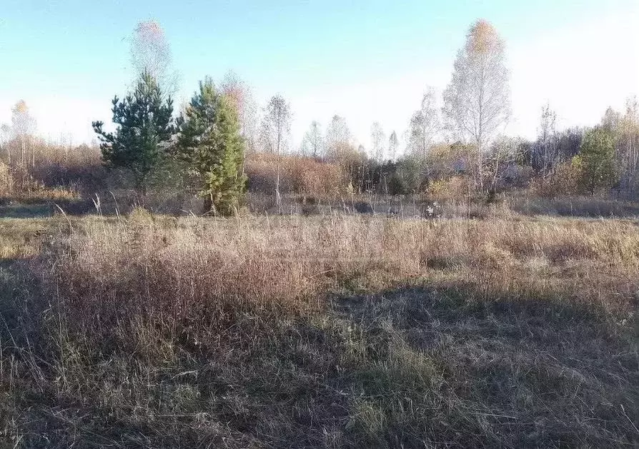 Участок 8 сот. (СНТ, ДНП) - Фото 0