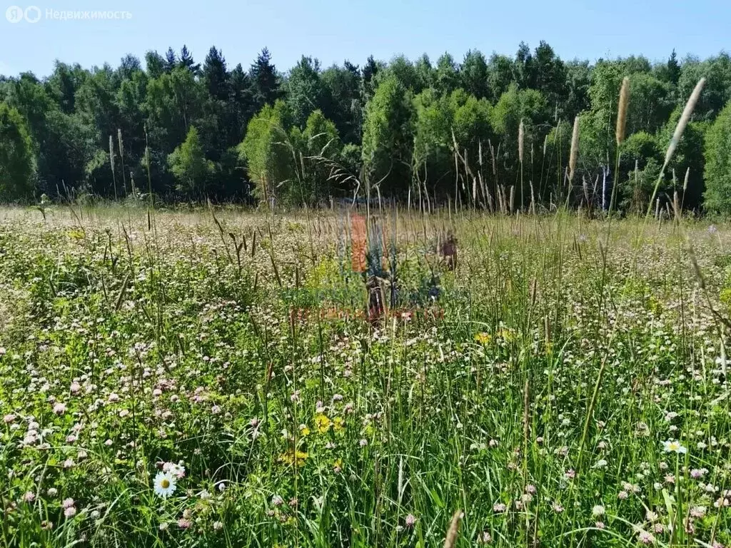Участок в Московская область, городской округ Серпухов, деревня ... - Фото 2