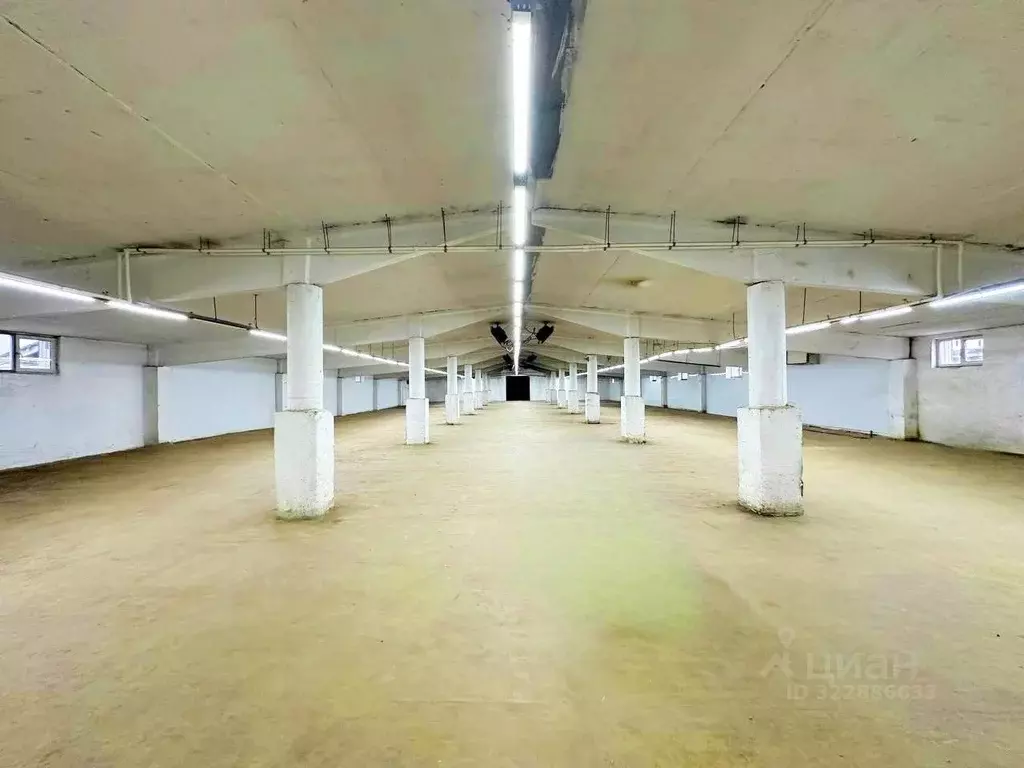 Склад в Московская область, Чехов муниципальный округ, Крюково пгт с4 ... - Фото 1