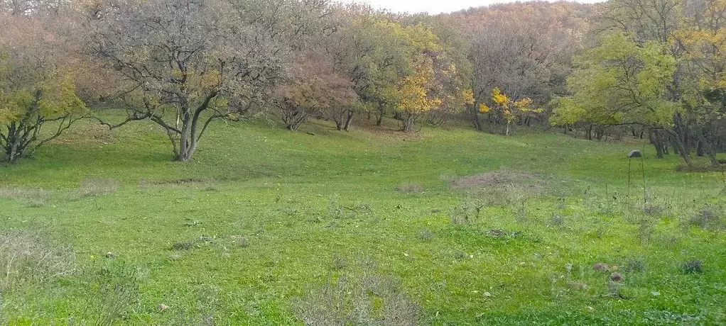 Участок в Крым, Феодосия муниципальный округ, с. Краснокаменка  (22.0 ... - Фото 1