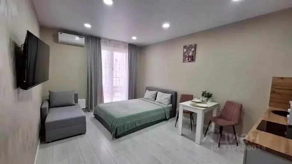 Студия Краснодарский край, Сочи ул. Искры, 88к8 (26.0 м) - Фото 2