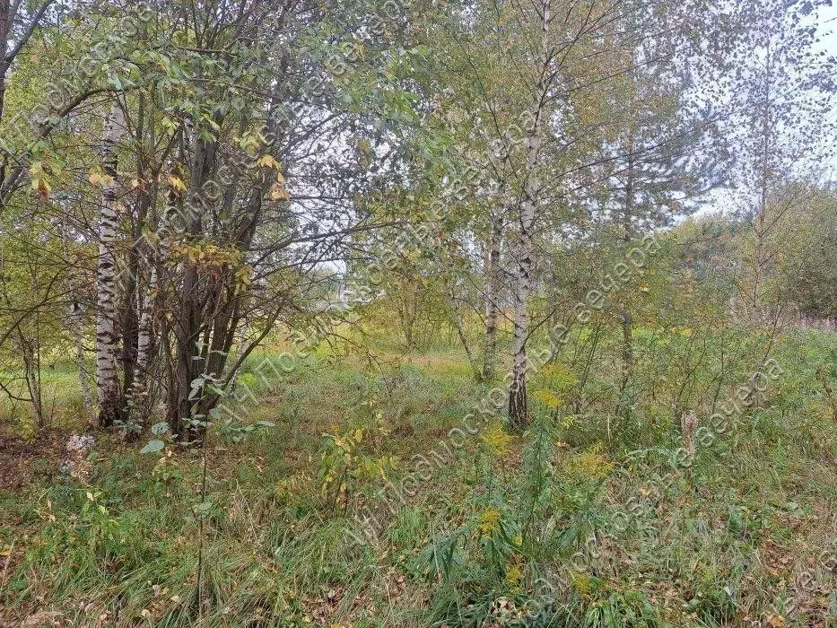 Участок в Московская область, Истра муниципальный округ, пос. Северный ... - Фото 1