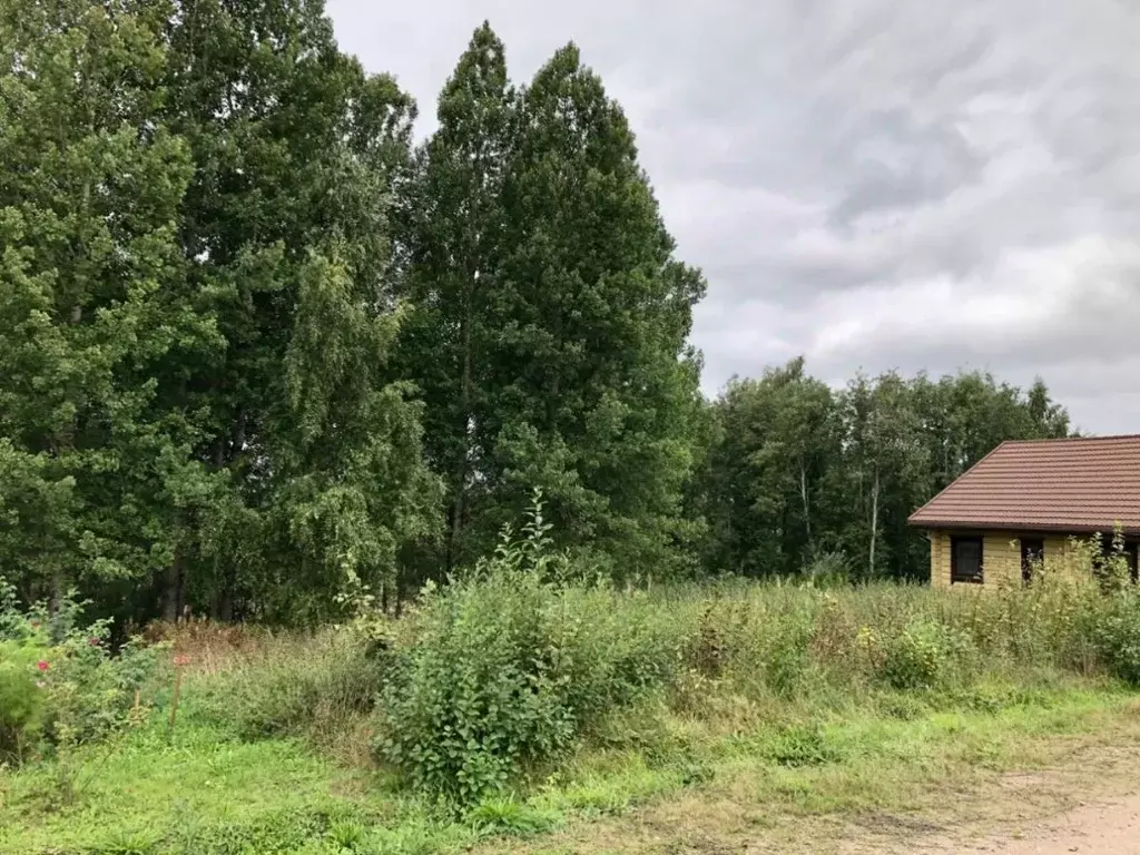 Участок в Ленинградская область, Выборгский район, Рощинское городское ... - Фото 2