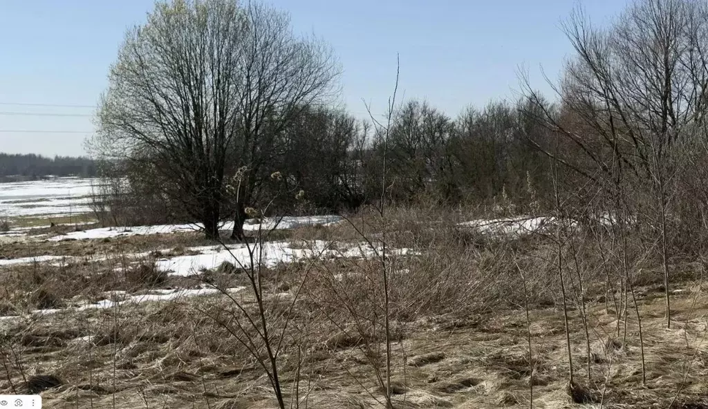 Участок в Московская область, Можайский муниципальный округ, д. Сельцы ... - Фото 2