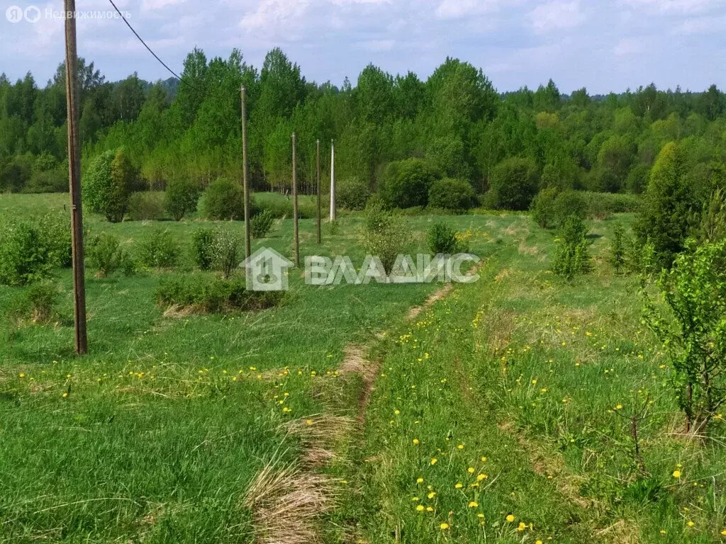Участок в Вологодская область, Сокольский муниципальный округ, село ... - Фото 0