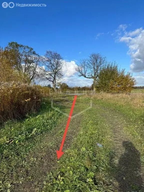 Участок в Калининградская область, Гурьевский муниципальный округ, ... - Фото 1