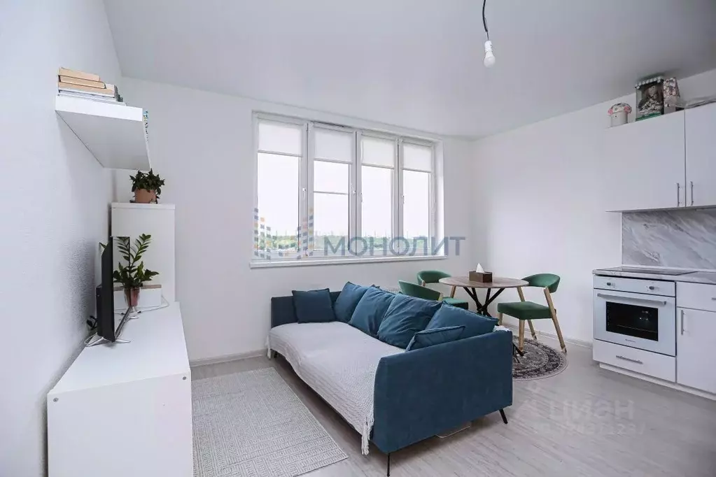 1-к кв. Нижегородская область, Нижний Новгород д. Анкудиновка, ул. ... - Фото 1