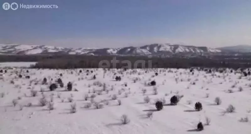 Участок в Айский сельсовет, территория Черемшанка (10 м) - Фото 1