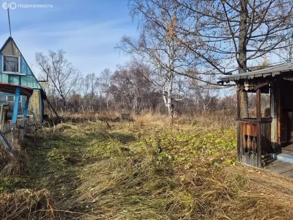 Участок в Камчатский край, Елизовский муниципальный округ, посёлок ... - Фото 2