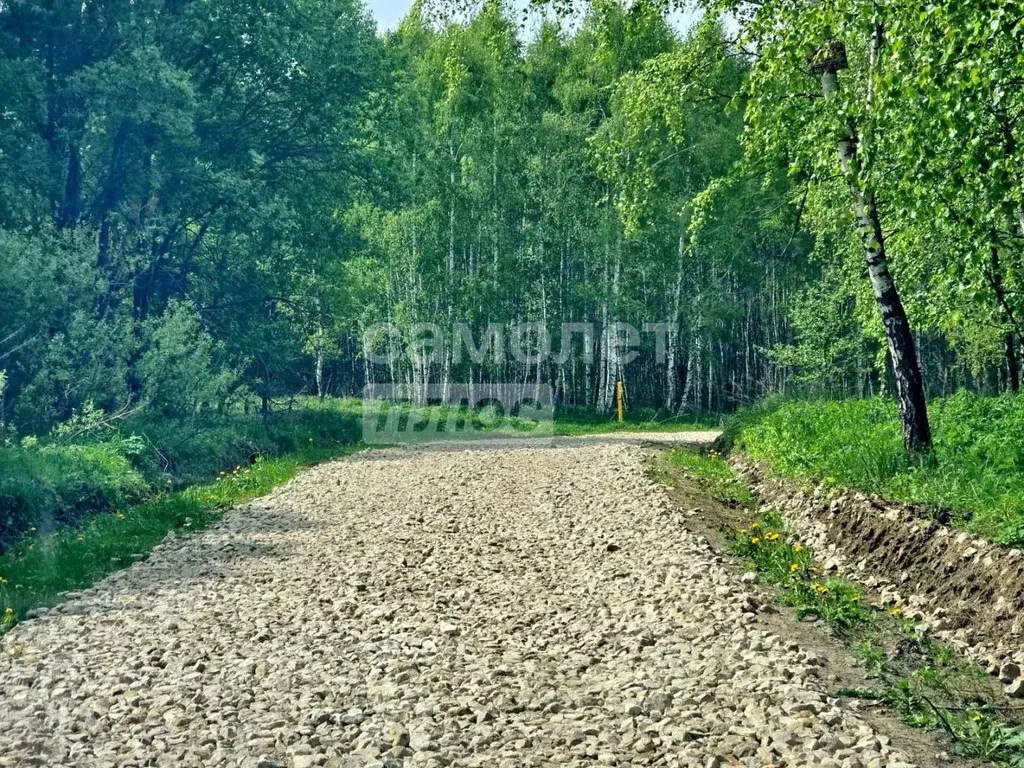 Участок в Калужская область, Перемышльский муниципальный округ, ... - Фото 1