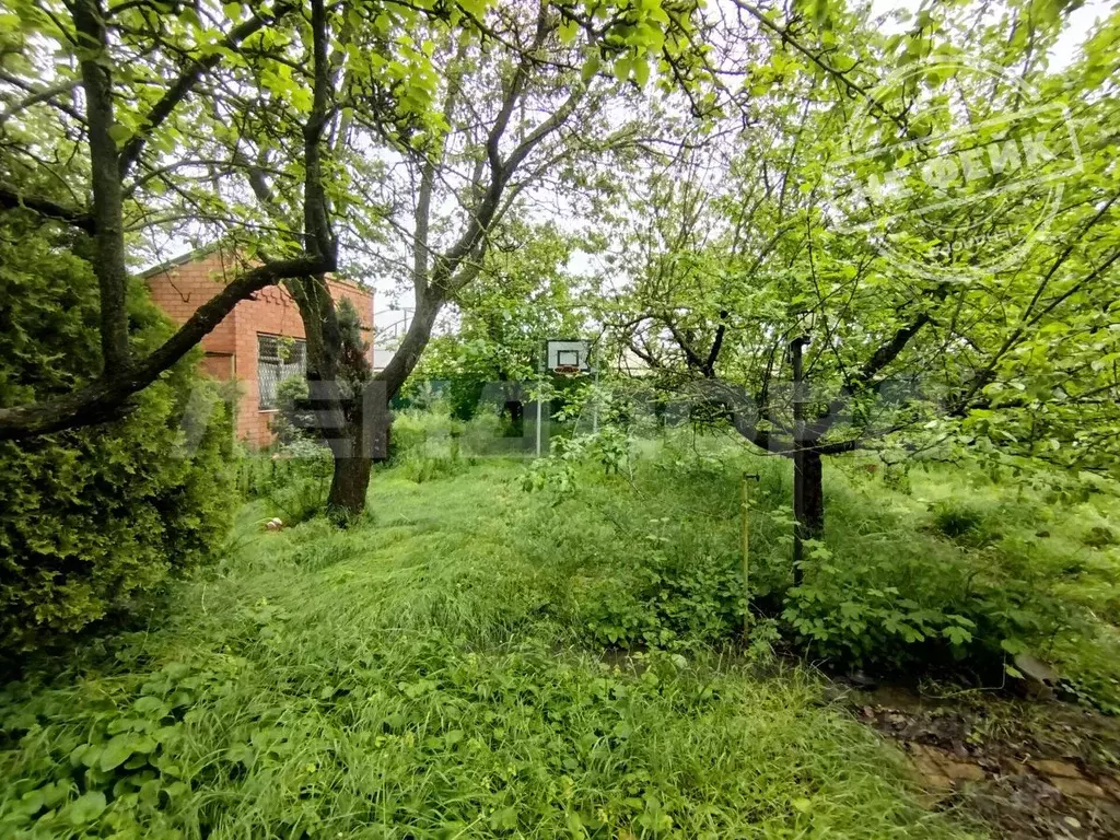 Участок в Ростовская область, Ростов-на-Дону Красный Аксай садовое ... - Фото 1