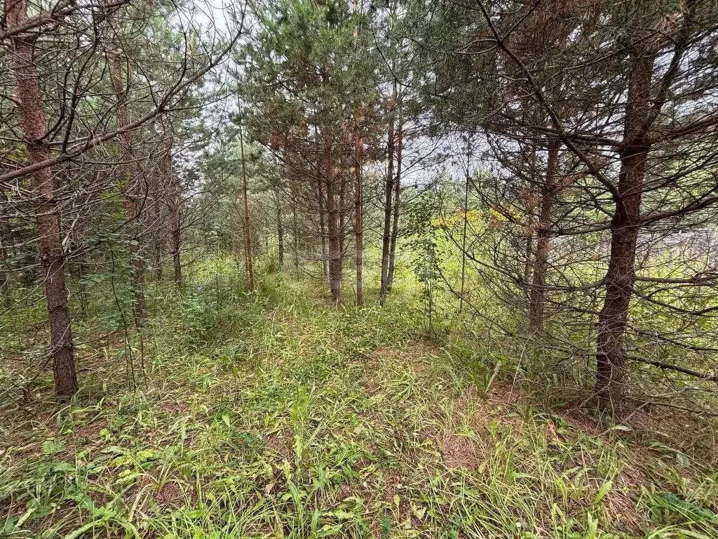 Участок в Кировская область, Киров городской округ, с. Порошино  (11.0 ... - Фото 2