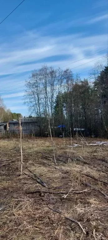 Участок в Новгородская область, Боровичский район, Опеченское с/пос, ... - Фото 2