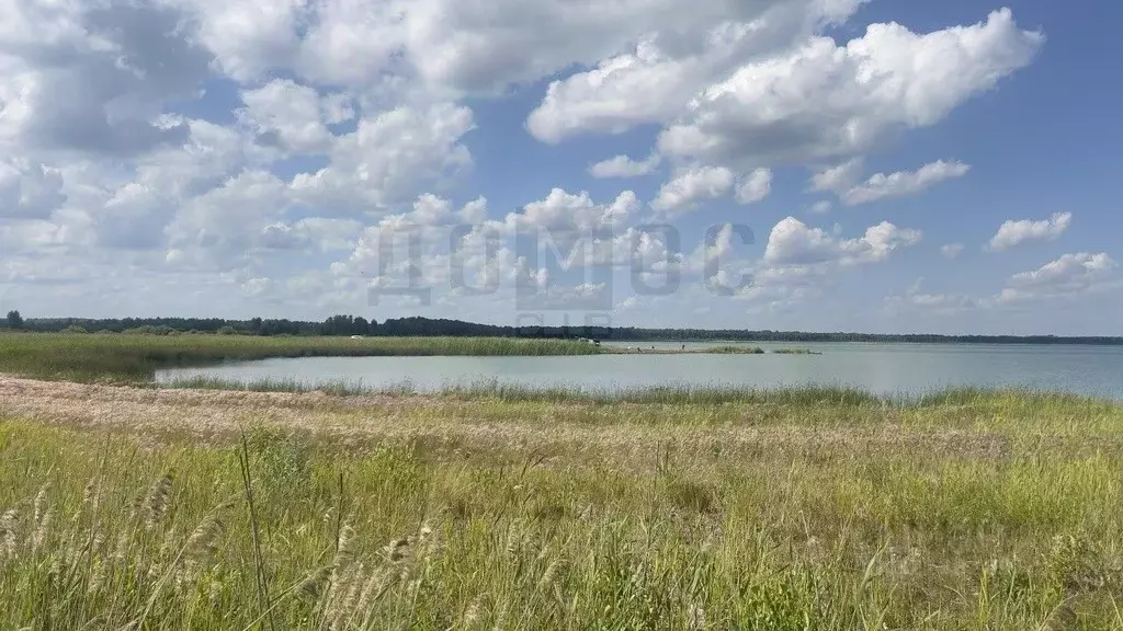 Участок в Челябинская область, Каслинский муниципальный округ, с. ... - Фото 1