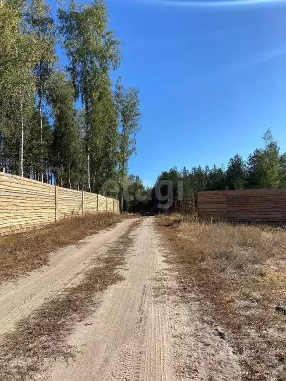 Участок в Воронежская область, Рамонский район, Новоживотинновское ... - Фото 1