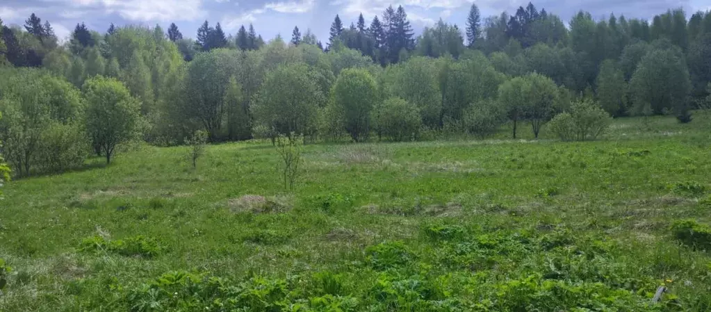 Участок в Московская область, Солнечногорск городской округ, д. Мостки ... - Фото 0