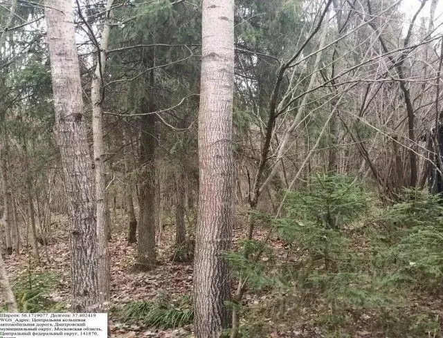 Участок в Московская область, Дмитровский муниципальный округ, д. ... - Фото 0