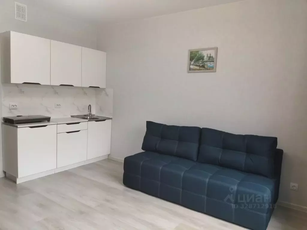 Студия Пермский край, Пермь Кузнецкая ул., 43В (23.0 м) - Фото 1