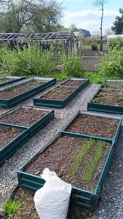 Дом в Брянская область, Брянск Коммунальник садовое общество, 250 (25 ... - Фото 1