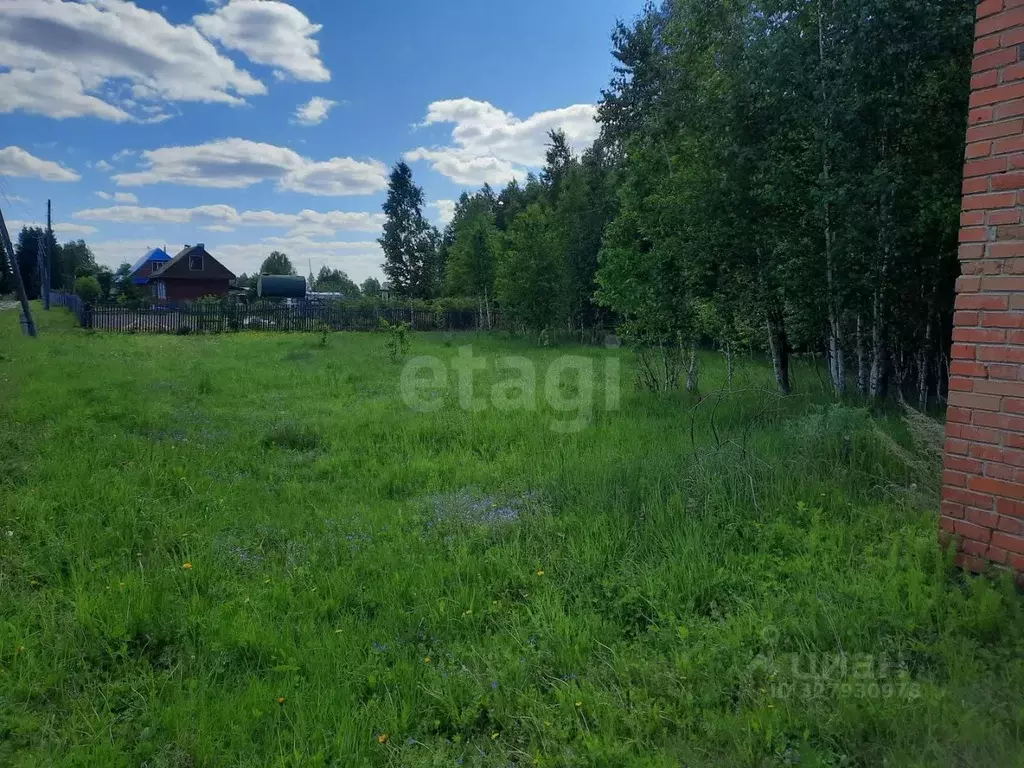 Участок в Томская область, Кожевниковский район, с. Киреевск Сибирская ... - Фото 1