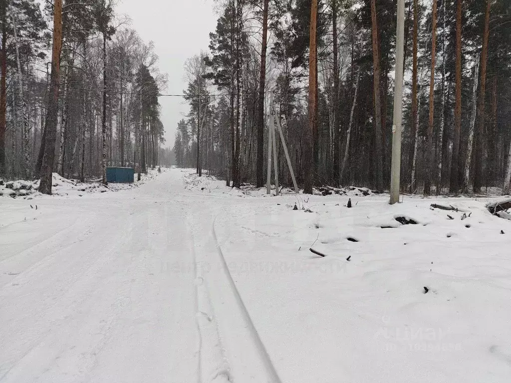 Участок в Свердловская область, Полевской городской округ, с. ... - Фото 1