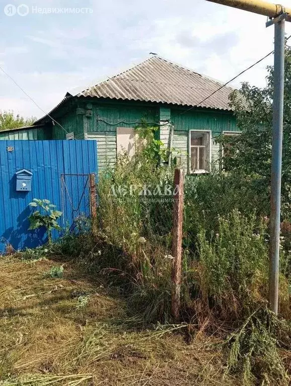 Дом в село Крутое (56 м) - Фото 1