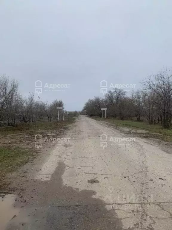 Участок в Волгоградская область, Октябрьский район, пос. Советский  ... - Фото 0