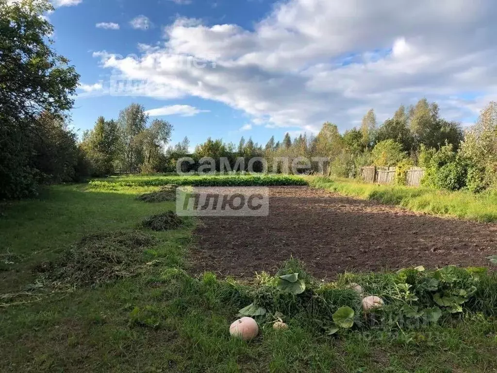 Участок в Марий Эл, Горномарийский район, Кузнецовское с/пос, д. ... - Фото 2