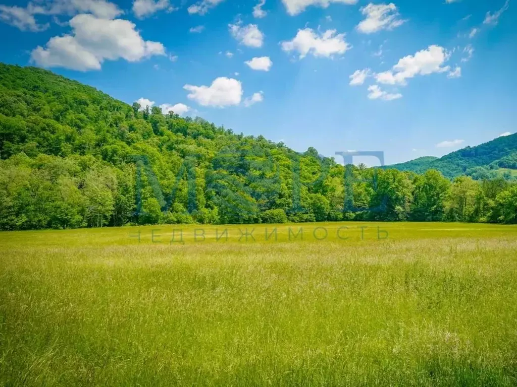 Участок в Краснодарский край, Туапсинский муниципальный округ, с. ... - Фото 1