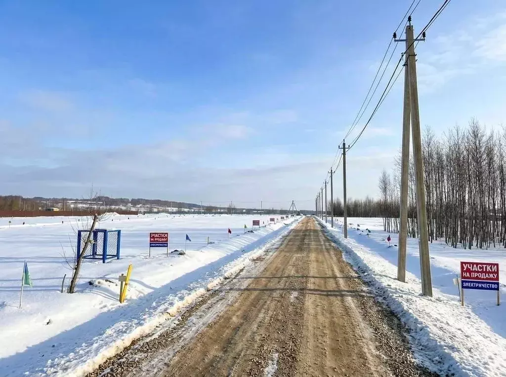 Участок в Ярославская область, Ярославский муниципальный округ, ... - Фото 1