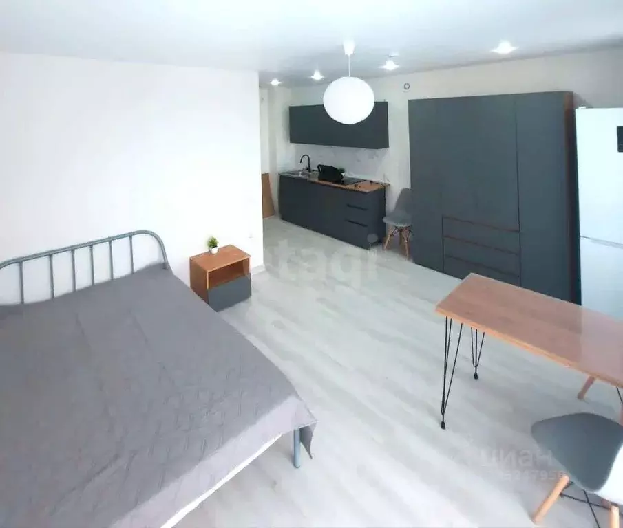 Студия Новосибирская область, Новосибирск ул. Ясный Берег, 43 (27.0 м) - Фото 2