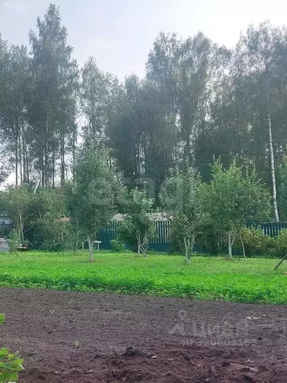 Участок в Вологодская область, Шекснинский муниципальный округ, ... - Фото 1