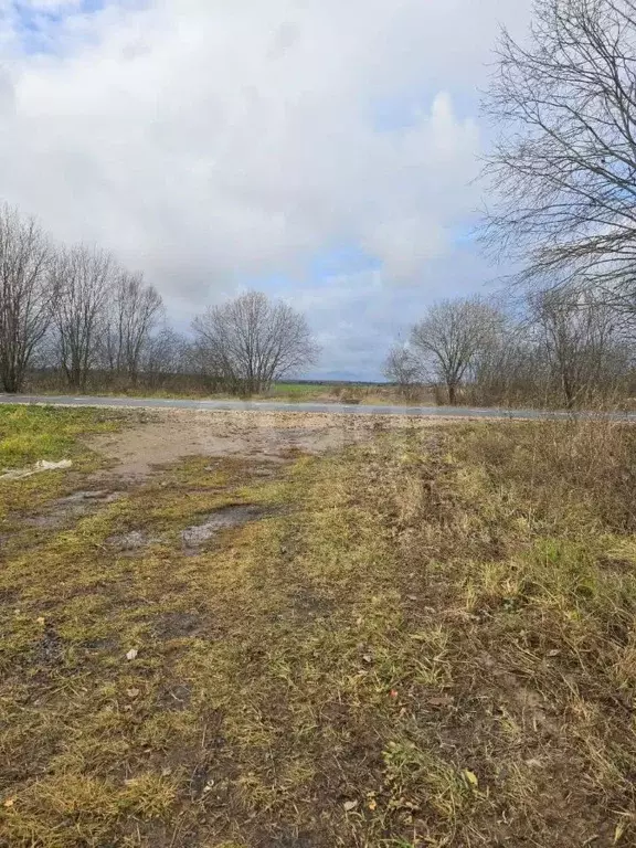 Участок в Марий Эл, Оршанский район, Марковское с/пос, д. Малая Орша  ... - Фото 2
