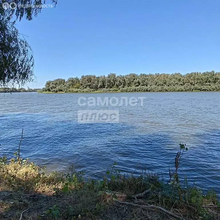 Участок в Енотаевский район, село Сероглазка (4192 м) - Фото 0