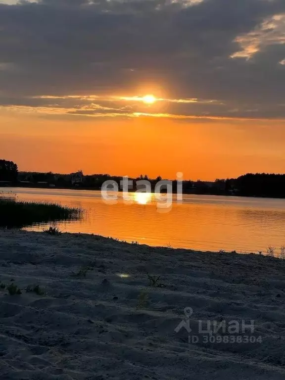 Участок в Новосибирская область, Искитимский район, Мичуринский ... - Фото 1