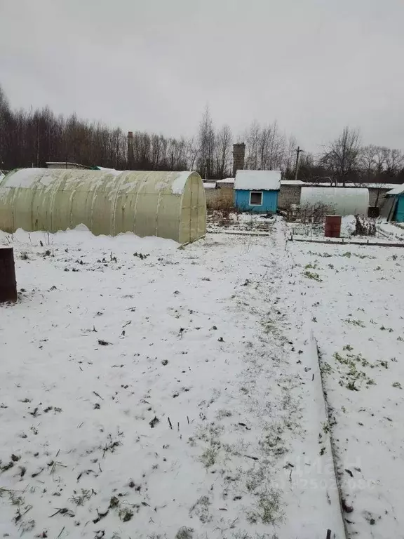 Участок в Тверская область, Торжок Машиностроитель-1 СНТ, 103 (3.8 ... - Фото 2