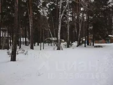 Участок в Томская область, Кожевниковский район, с. Киреевск  (128.9 ... - Фото 2