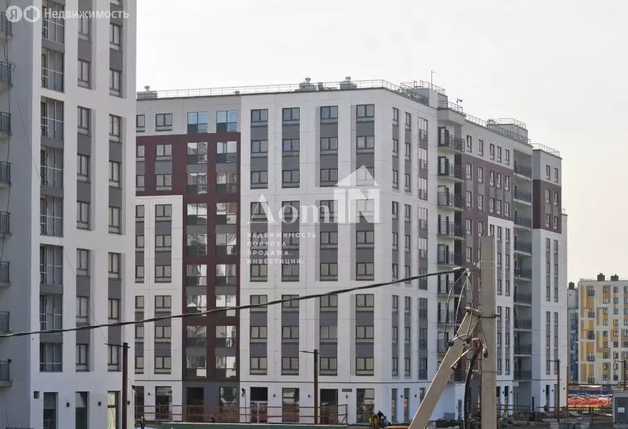 Квартира-студия: Янино-1, Цветной бульвар, 10к1 (24.15 м) - Фото 1