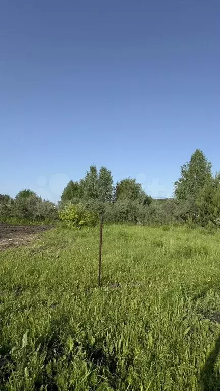 Участок 10 сот. (СНТ, ДНП) - Фото 1
