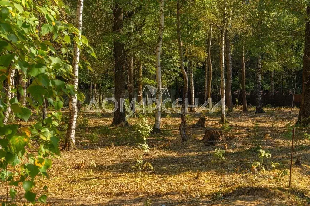 Участок в Московская область, Наро-Фоминский городской округ, ЗАО Нара ... - Фото 2